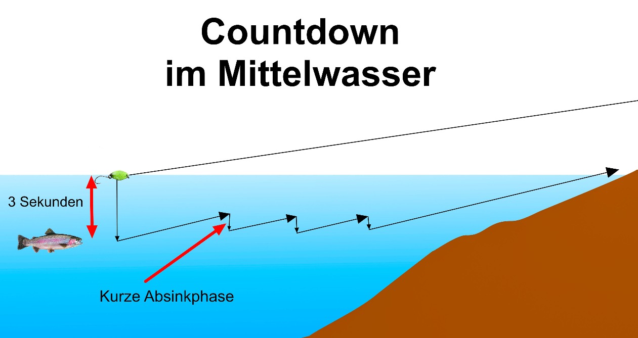 Countdown im Mittelwasser Forellenmontage