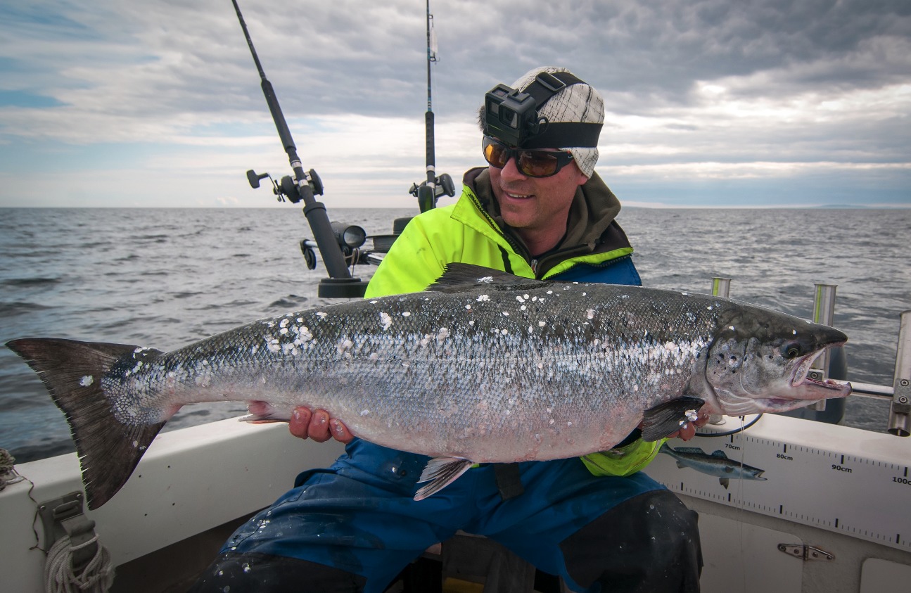 Lachs Vorzeiger Ostsee