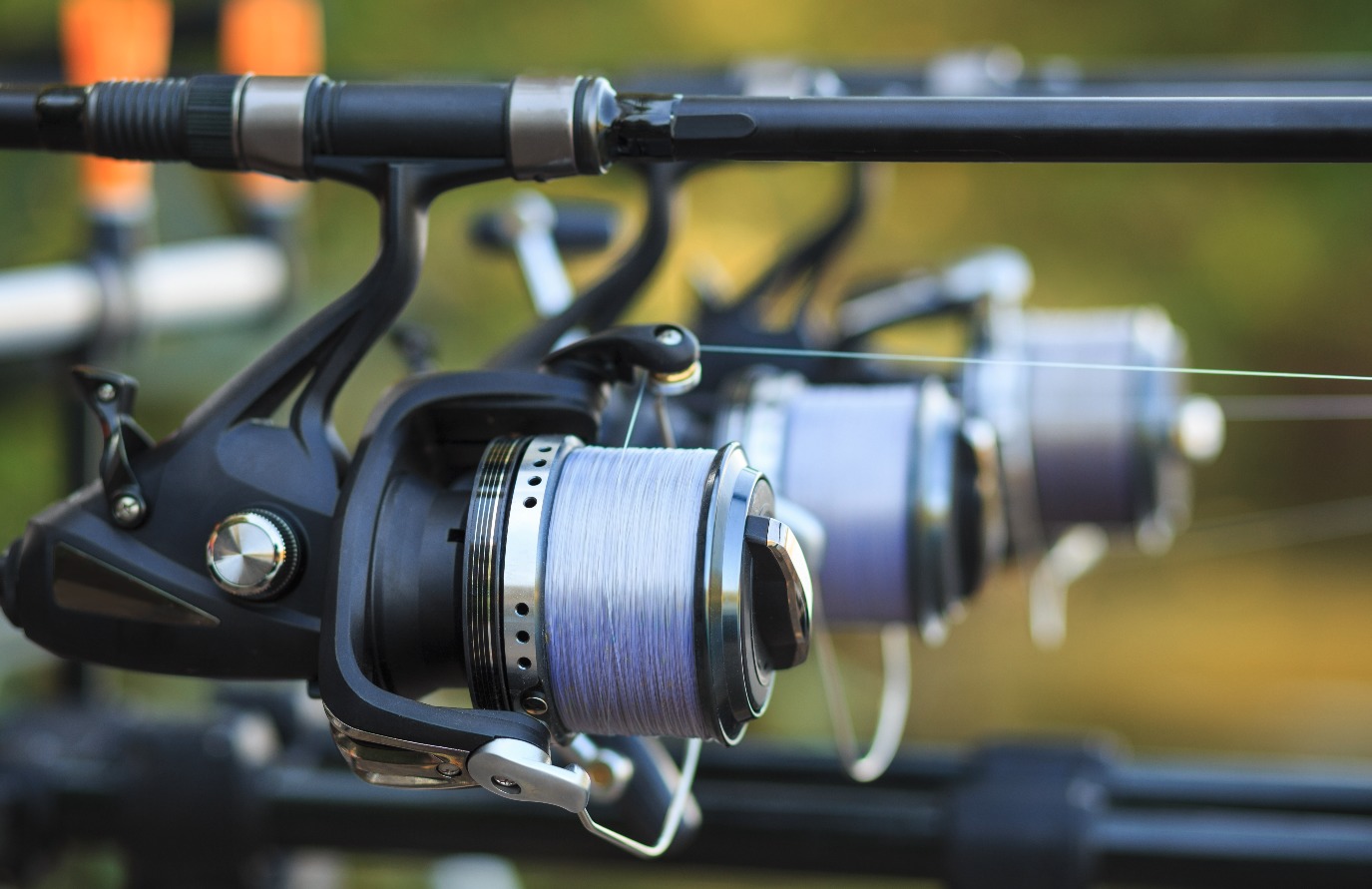 Schnur Karpfenangeln