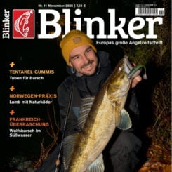 BLINKER