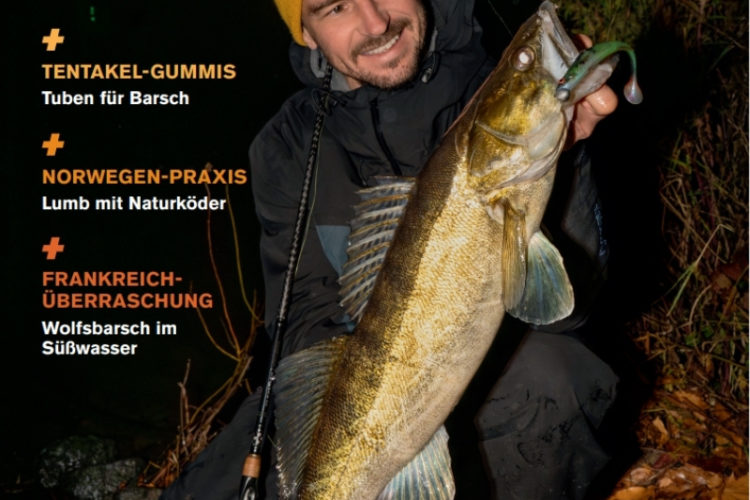 Blinker 11/2025: Herbstzander im Fluss