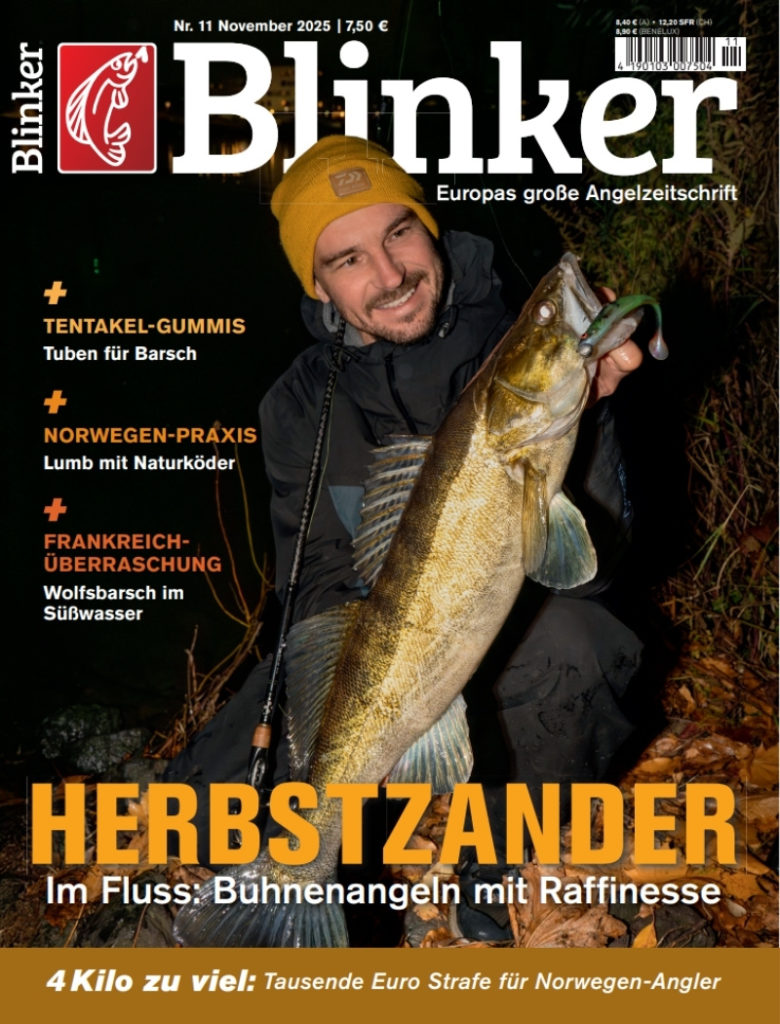 Blinker 11/2025: Herbstzander im Fluss