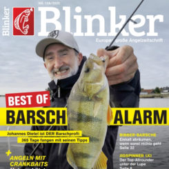 BLINKER