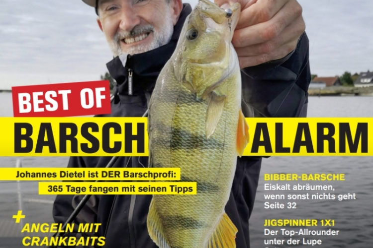 Blinker Spezial 02/2025: Best of Barsch-Alarm