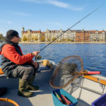Bodensee Seeforelle Schonmaß 2026