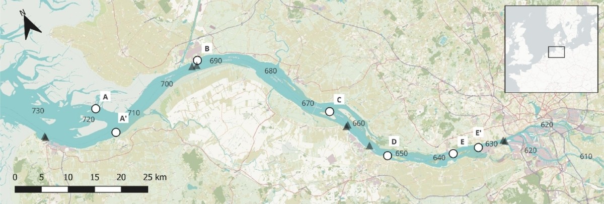 Karte der Elbe, in die Messstationen eingezeichnet sind