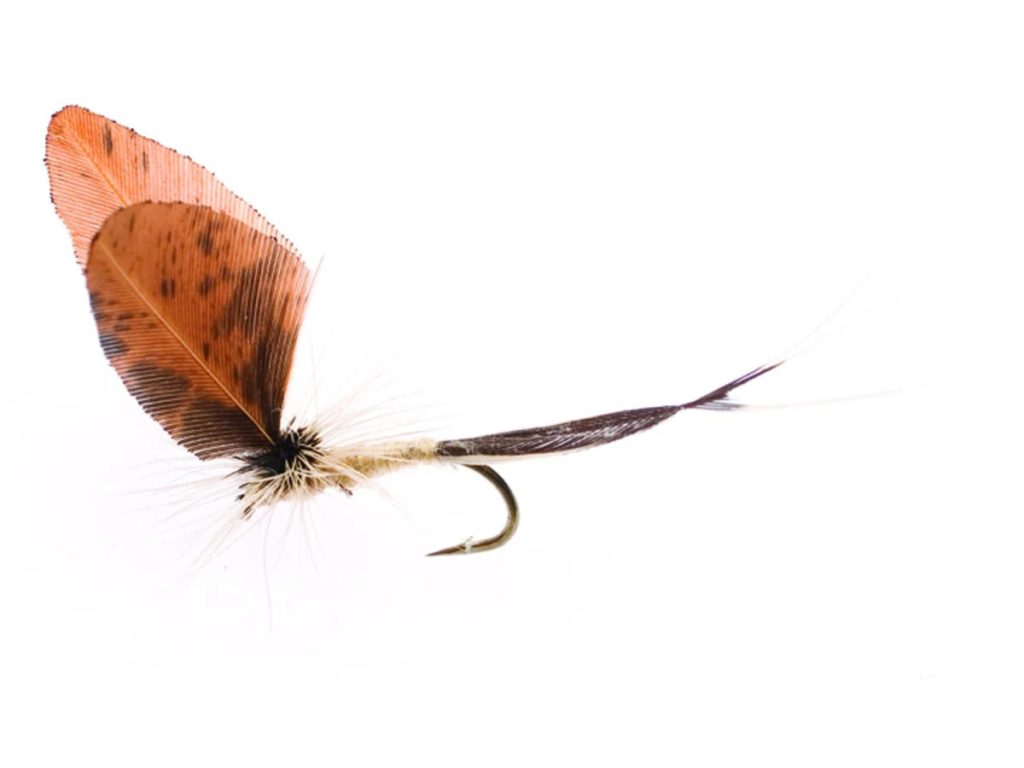 Ephemerella Danica Dun Cream/Brown Daiichi 1310 #12