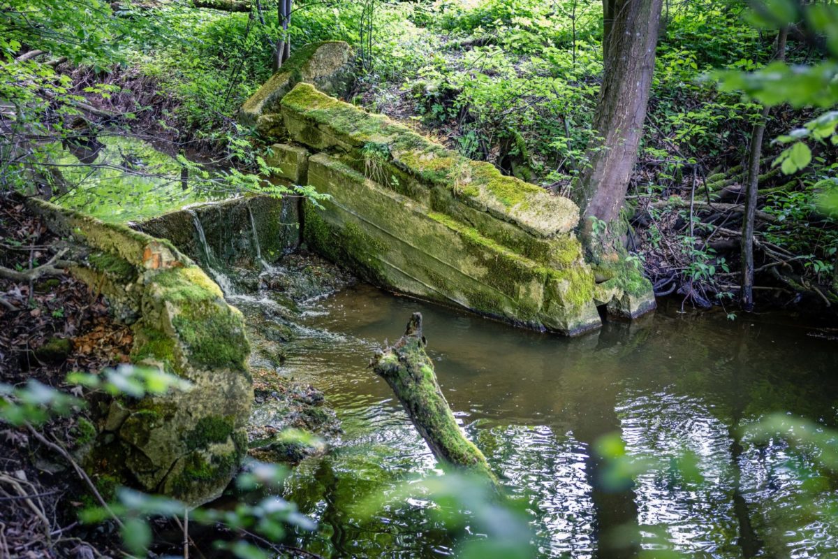 Ein altes Wehr am Loipingerbach