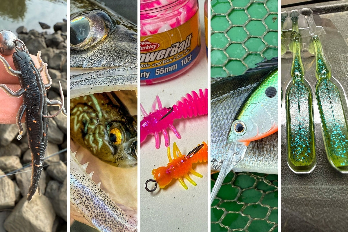 Von Gummi-Grundel bis Twitch-Crank-Bait: 5 neue Raubfischköder im Test