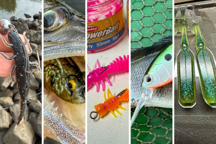 Alle fünf Raubfischköder im Test