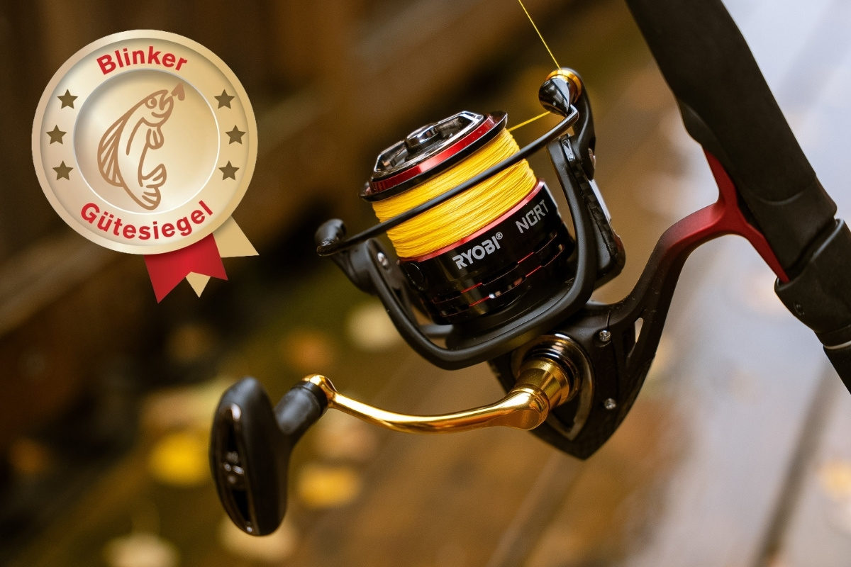 Angelrolle Ryobi NCRT Naxo 4000 im Test