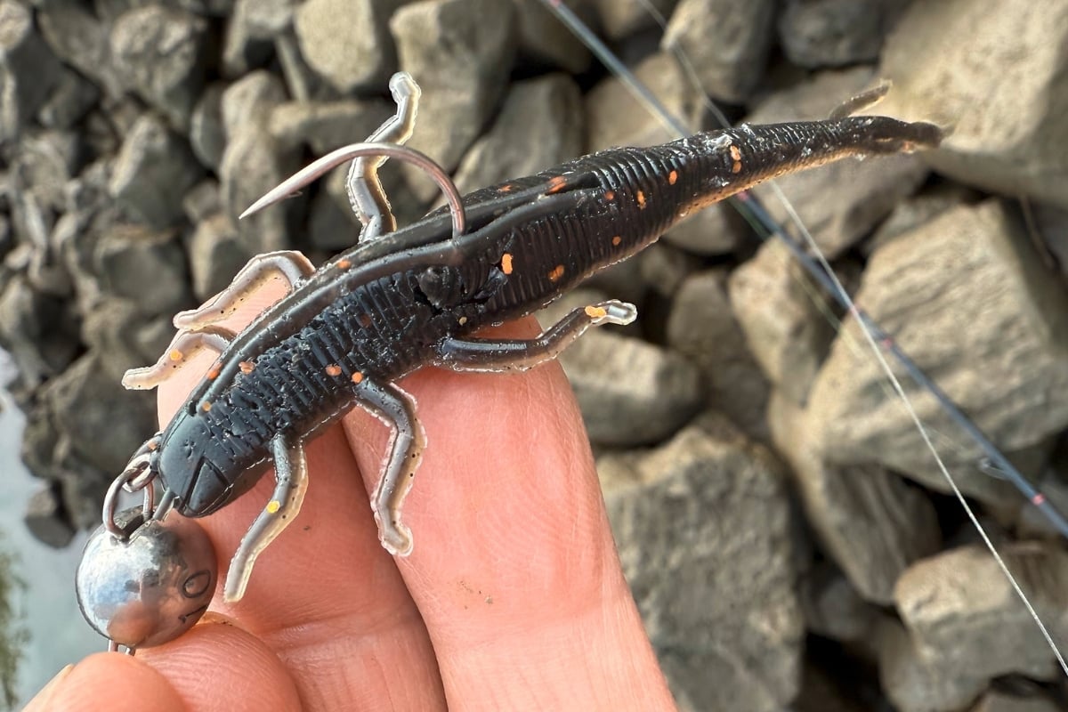 Gummilarve als Kunstköder: Der Zeck Shaky Sneaker