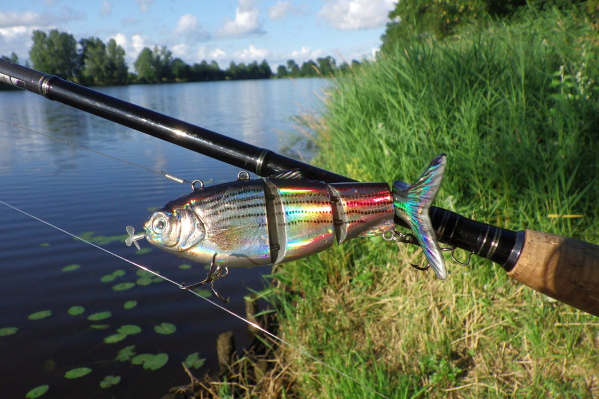 Roboterfisch, Robofisch, Kunstköder, Köderfisch