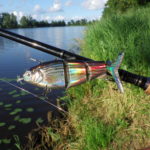 Roboterfisch, Robofisch, Kunstköder, Köderfisch