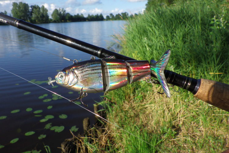 Roboterfisch, Robofisch, Kunstköder, Köderfisch