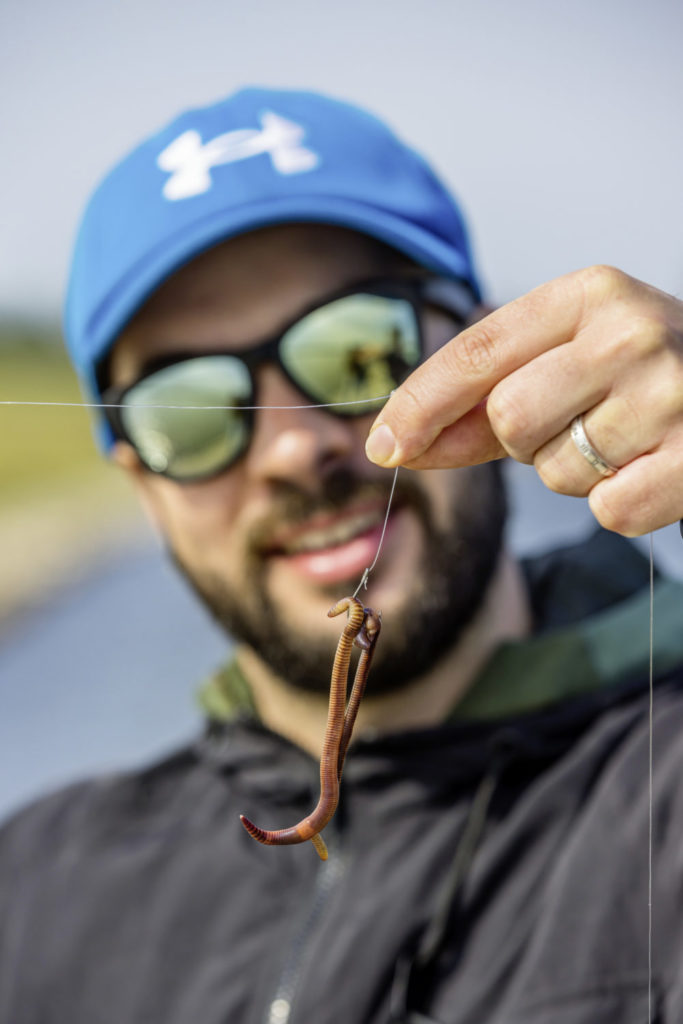Wurm und Drop-Shot: Das ist die Kombination, die auch müde Barsche nochmal wachkitzelt, wenn die Kunstköder versagen.