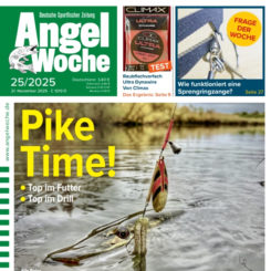 AngelWoche