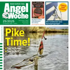 AngelWoche