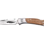 DAFV-Sammelmesser Fisch des Jahres 2026 Wels