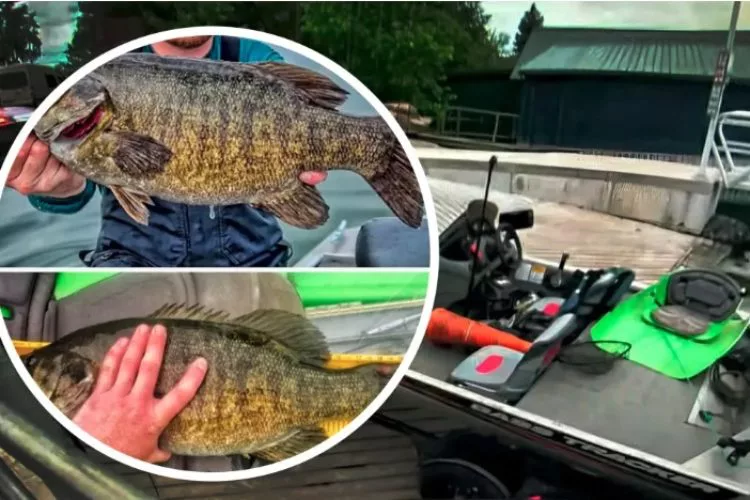 Betrügerische Fische Betrug beim Kajak-Wettangeln auf Schwarzbarsch