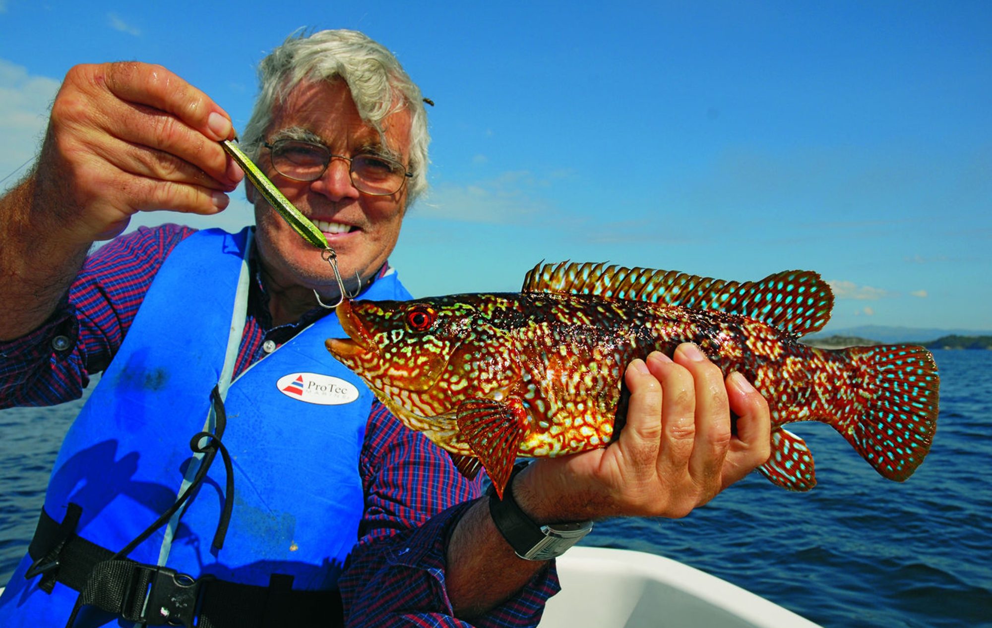 Gefleckter Lippfisch