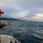 Kein Angelschein nötig für das Bootsangeln in Norwegen