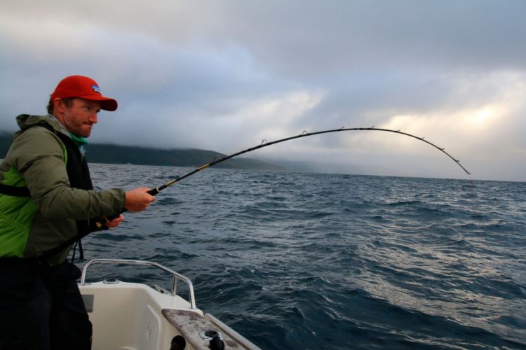 Kein Angelschein nötig für das Bootsangeln in Norwegen