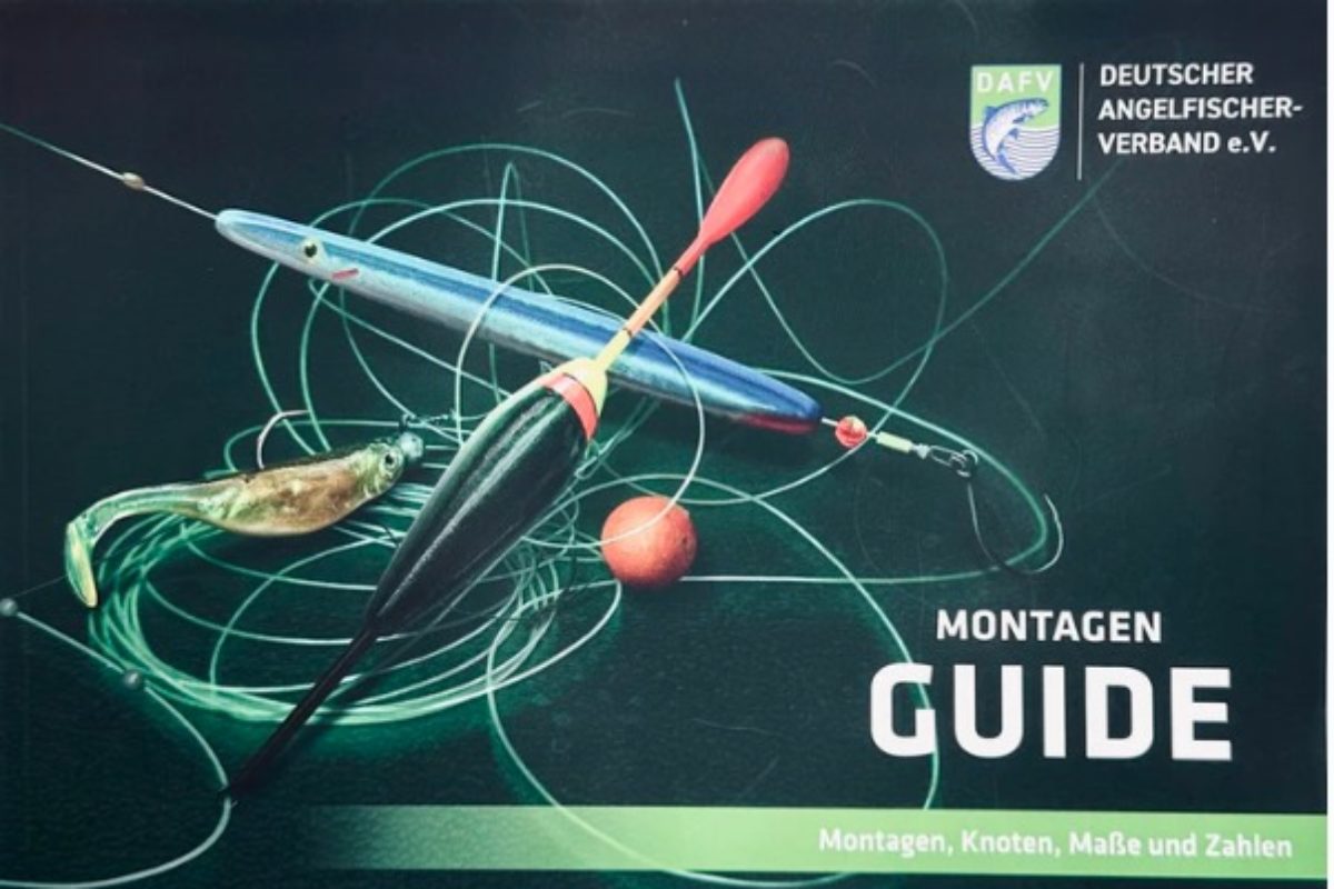 Montagen Guide