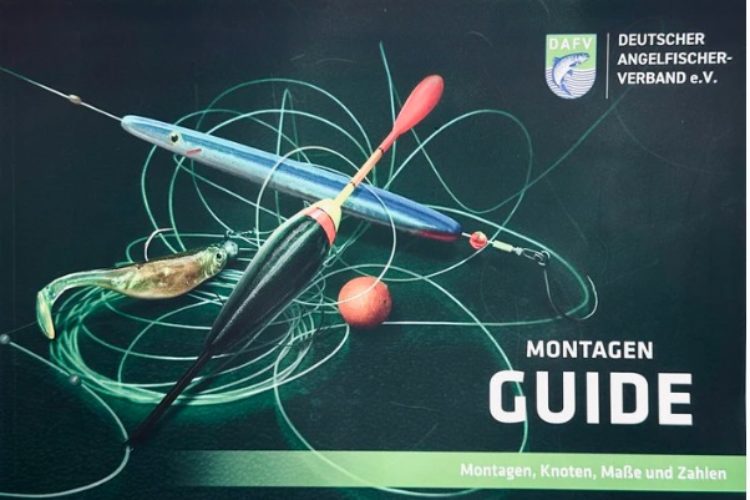 Montagen Guide