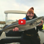Angler mit Seelachs auf BKK Armorpoint Hyperlatch 71-SS
