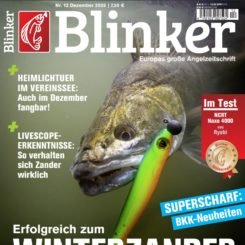 BLINKER
