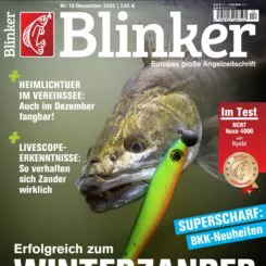 BLINKER