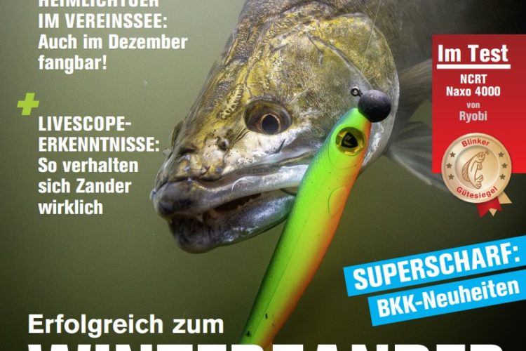 Blinker 12/2025: Erfolgreich zum Winterzander