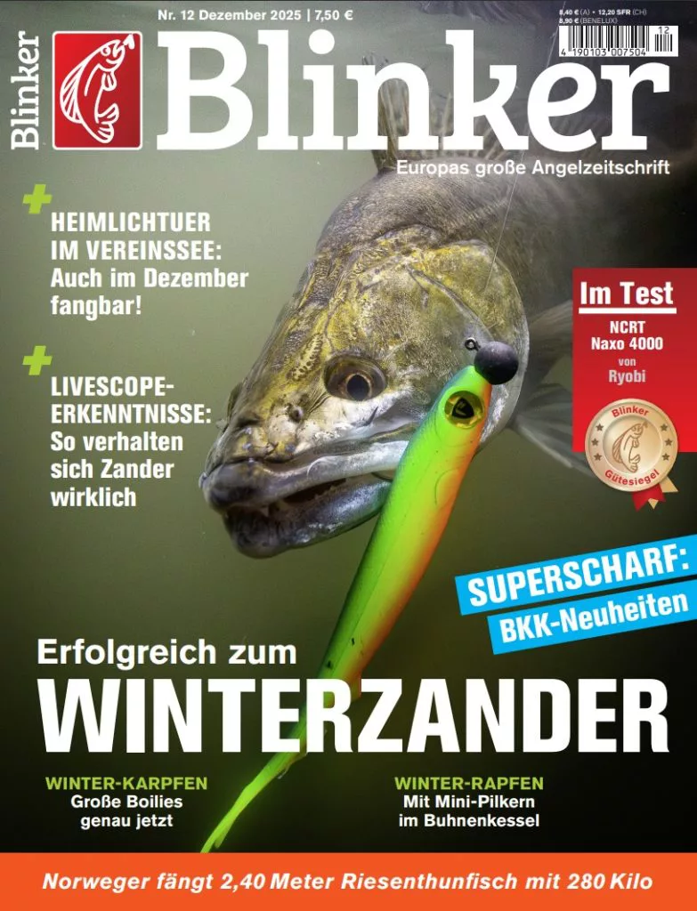 Blinker 12/2025: Erfolgreich zum Winterzander