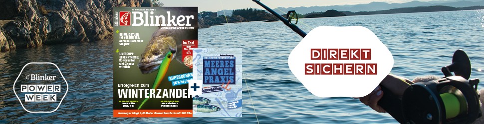 Blinker_Power_Week_Inline_Banner