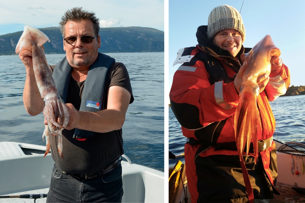 Kalmare aus dem Fjord