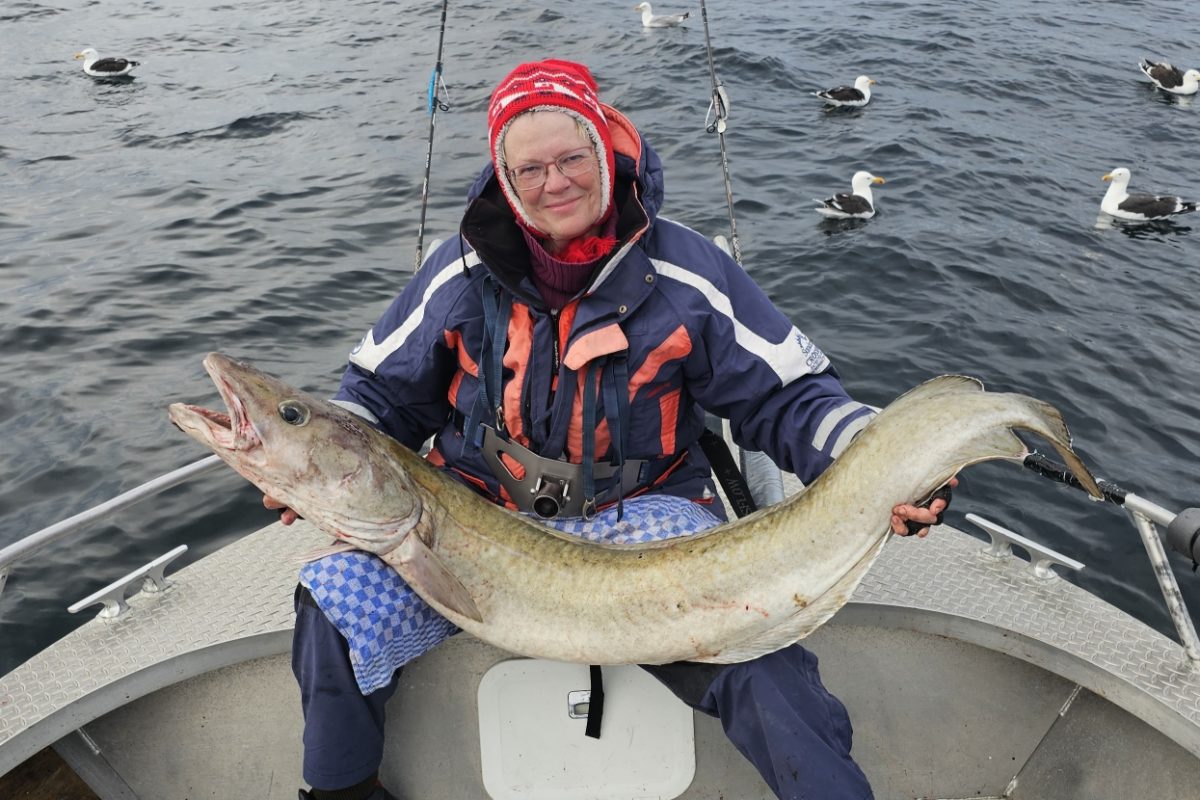 Leng Fischarten Norwegen