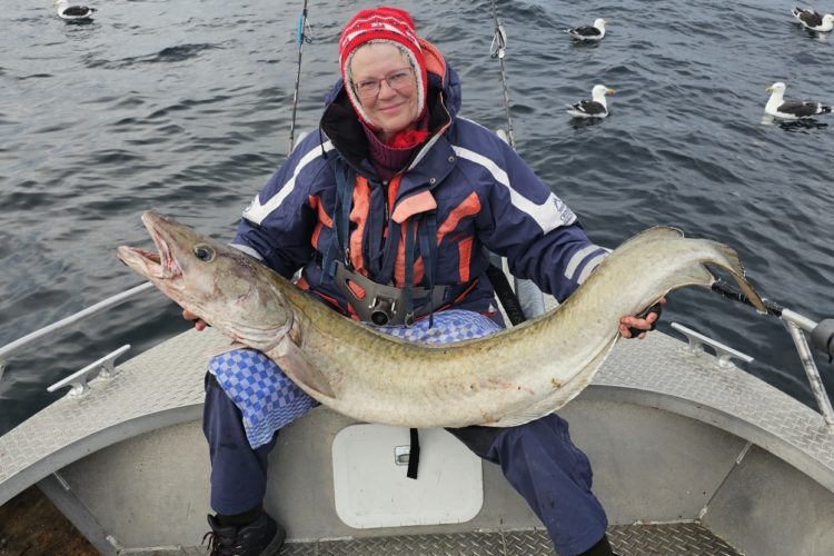 Leng Fischarten Norwegen