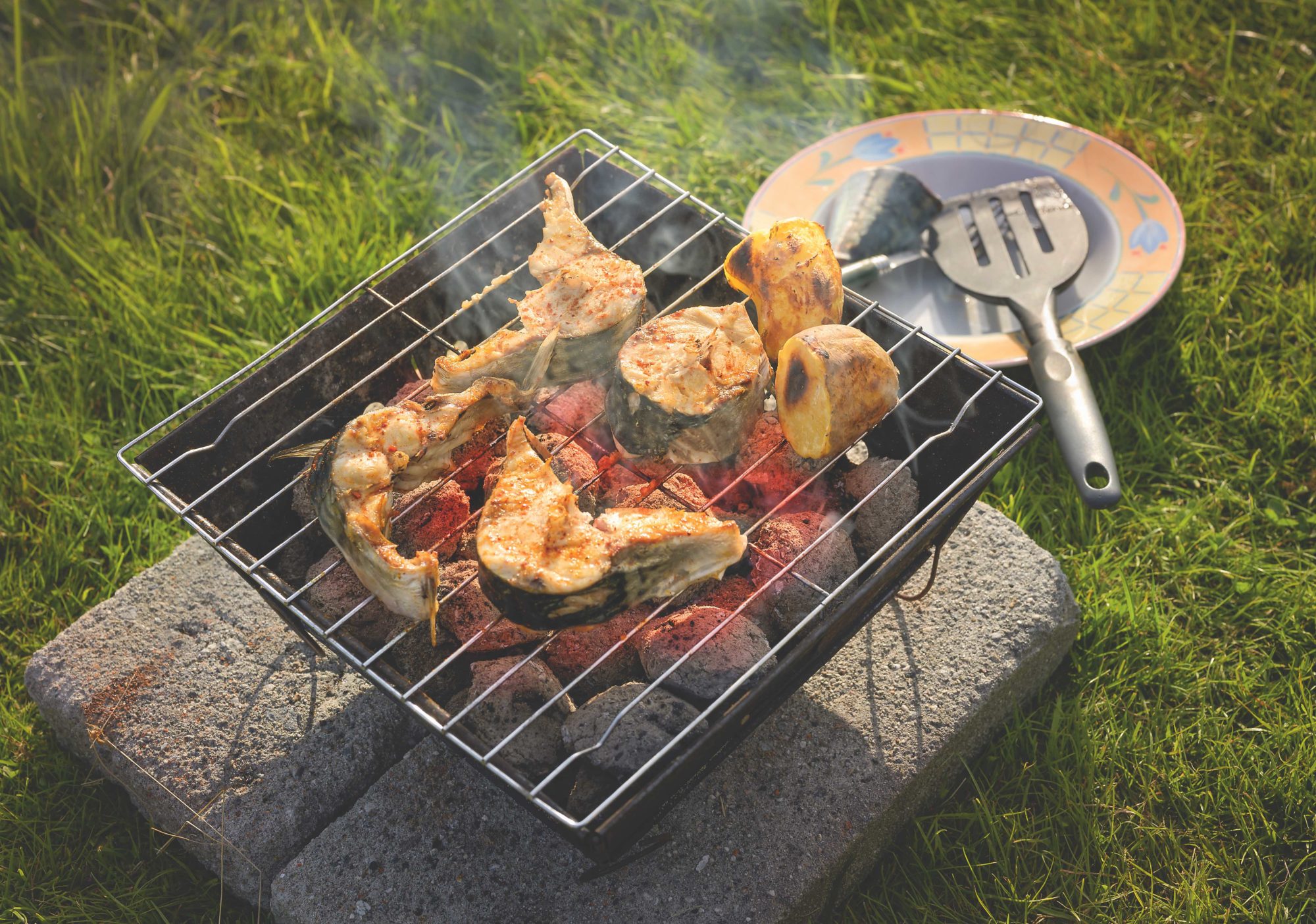 Frisch gefangen und direkt auf den Grill: Makrele gehört zu den einfachsten und leckersten Campingmahlzeiten – schnell zubereitet und perfekt nach einem Angeltag.