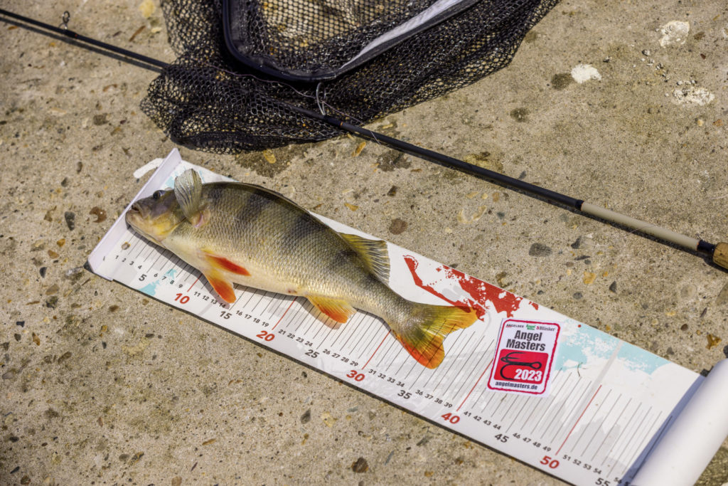 Extrabreite Maßbänder oder skalierte Abhakmatten sind immer perfekt zum schonenden Handhaben des Fangs – ob Sie nun Catch and Release betreiben oder nicht.