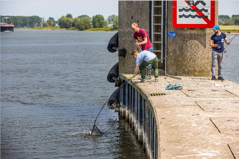 Nix mit Handlandung! An manchen Spots lohnt sich der extralange Streetfishing- oder Spundwandkescher.
