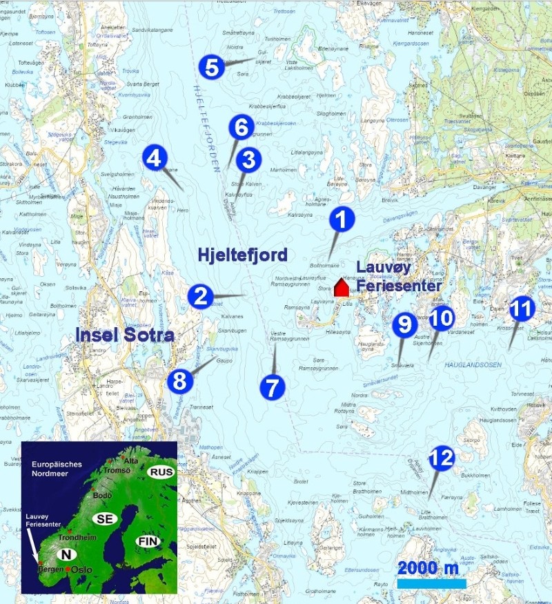 Seekarte für das Angeln im Hjeltefjord