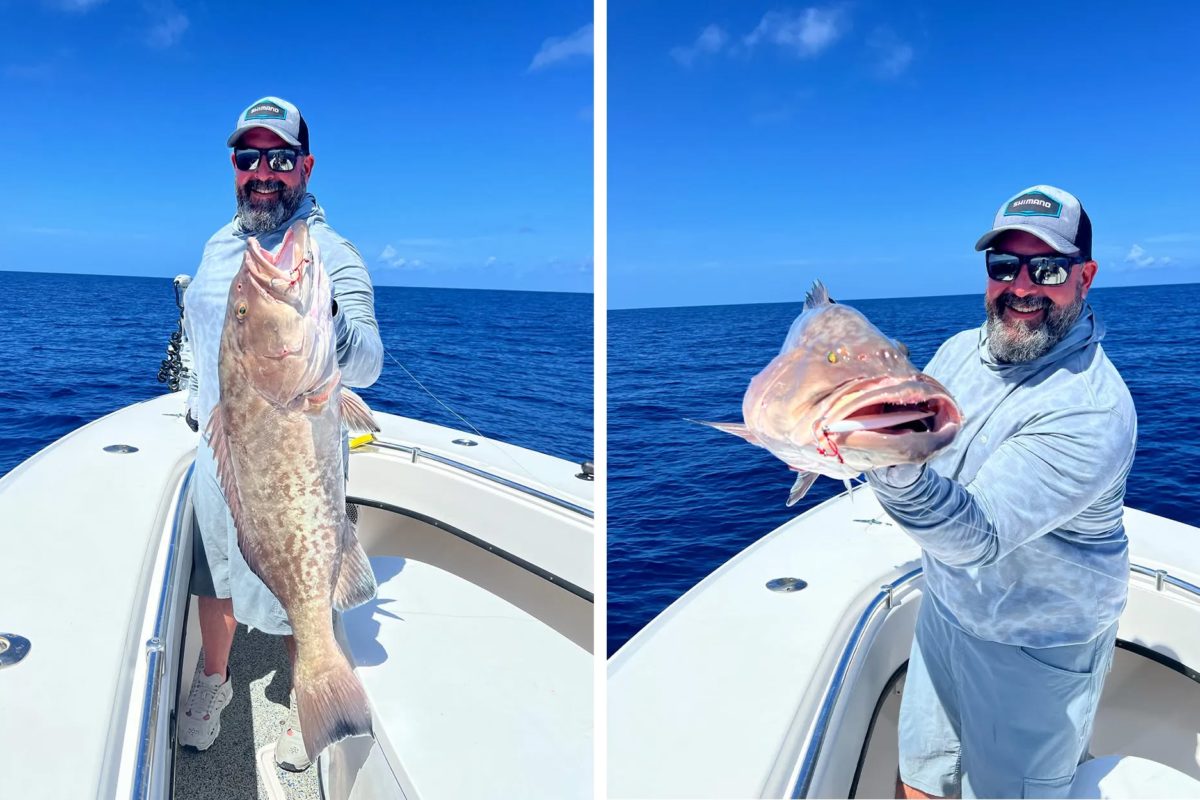 Benny Ortiz mit Grouper: Der Gag-Grouper ist neuer Weltrekord bei der IGFA.