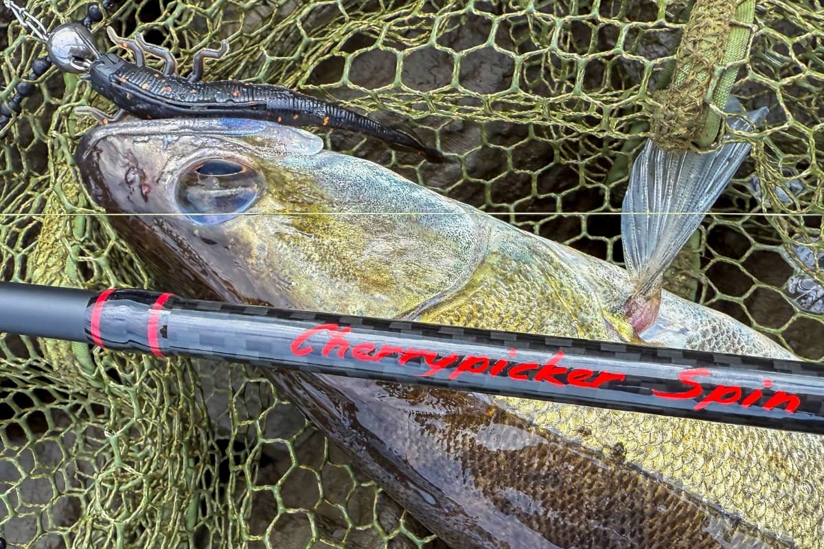 Kogha Cherrypicker Spin 210 von Askari auf einem Zander liegend