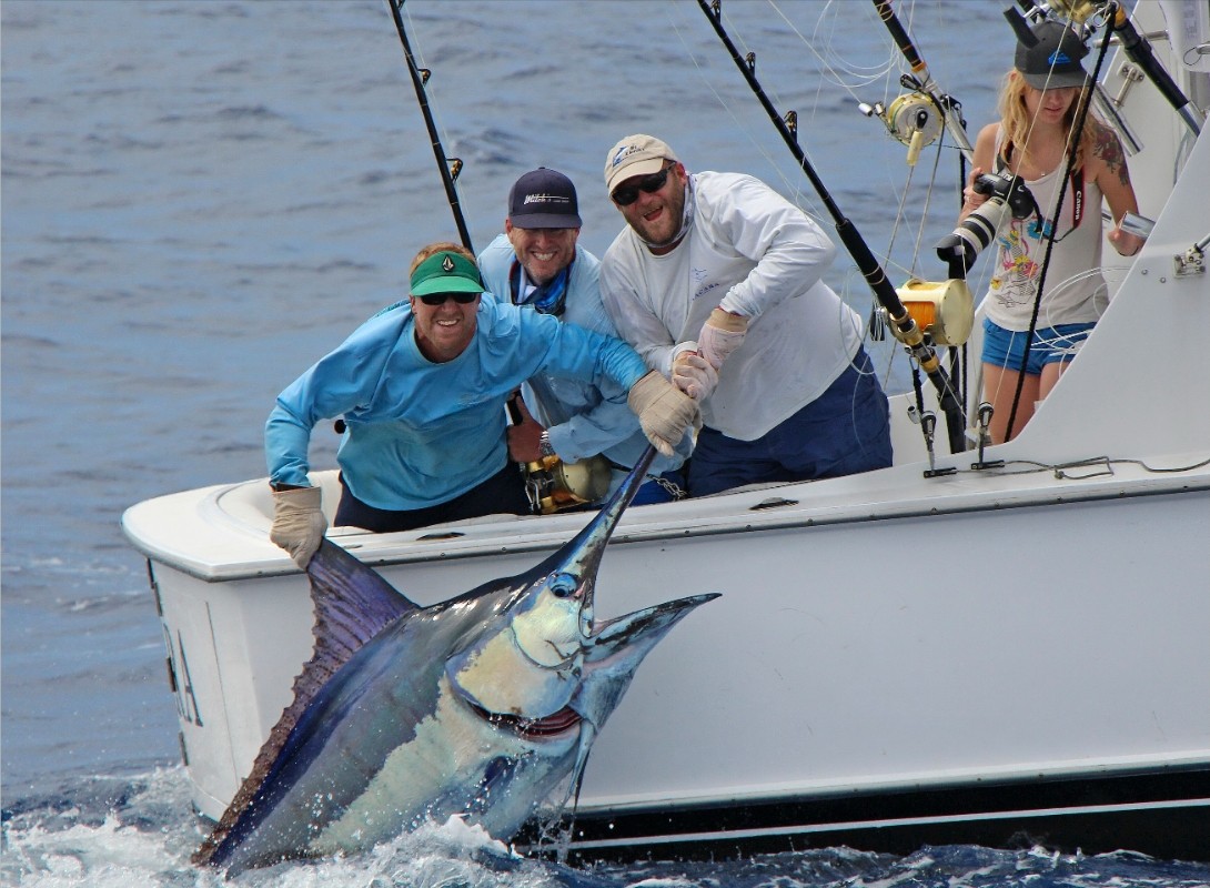 Azoren: Big Game Angler mit Marlin