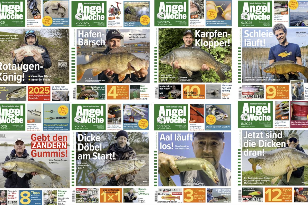 Titelseite AngelWoche