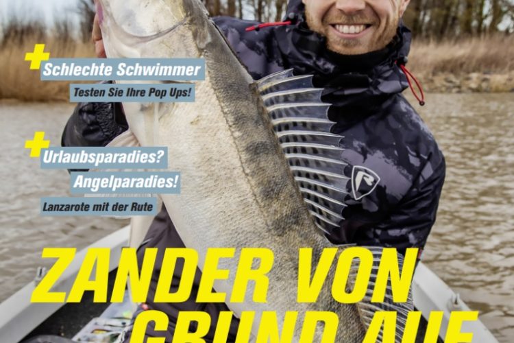 Blinker 01/2026: Zander von Grund auf