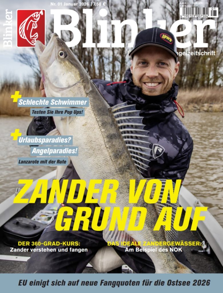 Blinker 01/2026: Zander von Grund auf