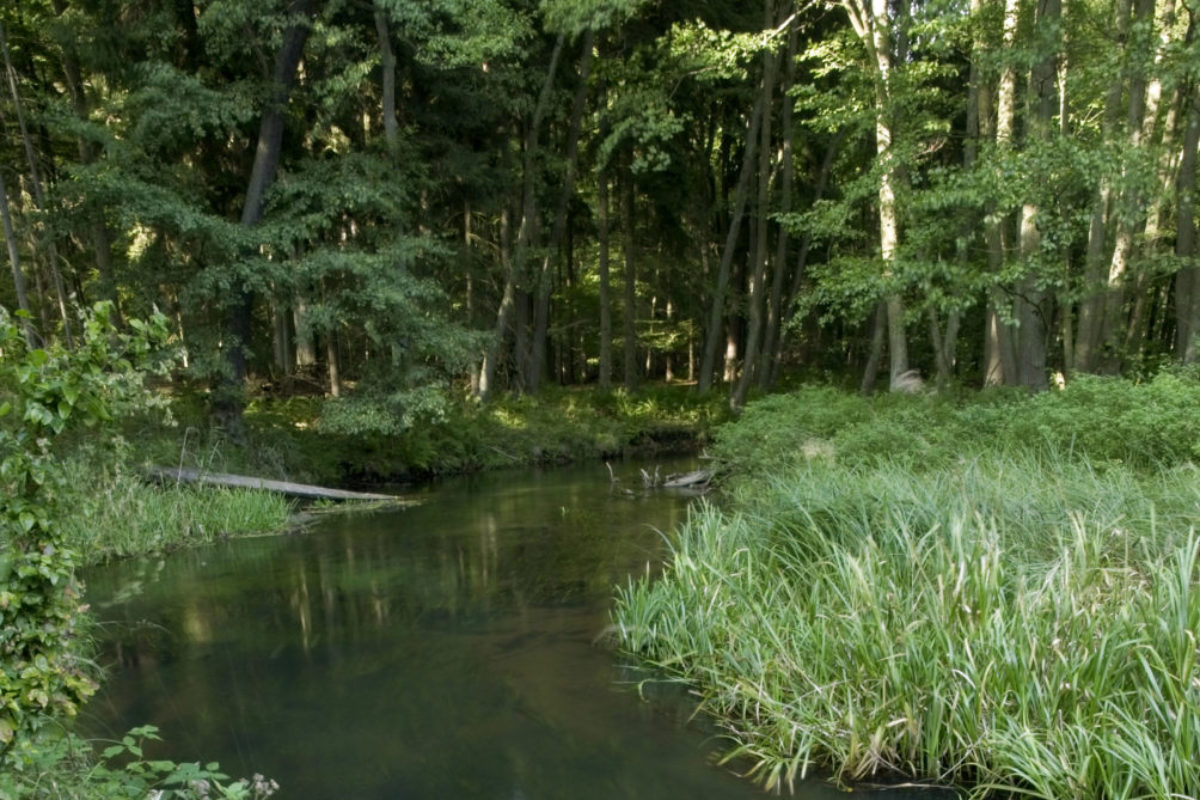Wasserrahmenrichtlinie