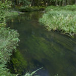 Wasserrahmenrichtlinie